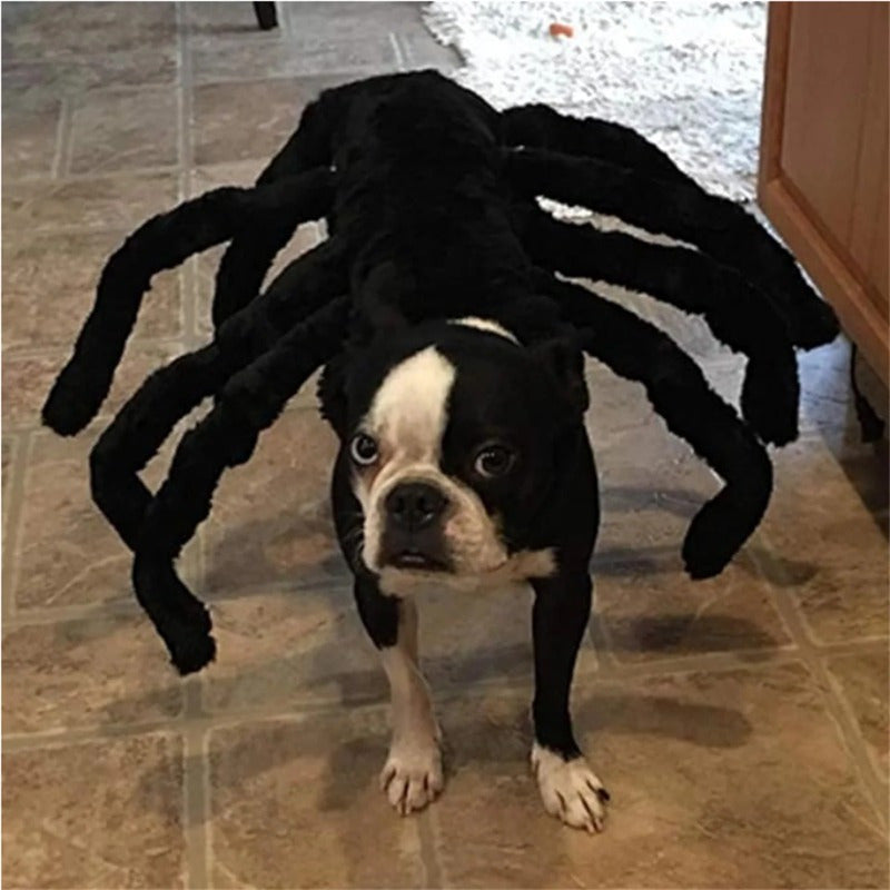 Spooky Spider Pet Costume for Dogs & Cats – Halloween Cosplay Outfit with 8 Legs, Soft Cotton & Adjustable Straps