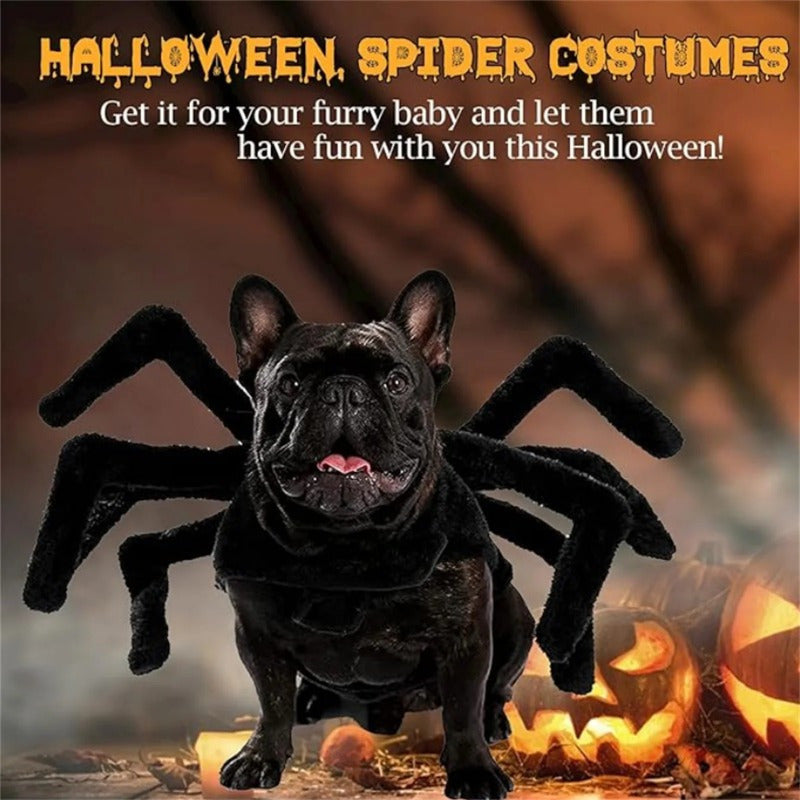 Spooky Spider Pet Costume for Dogs & Cats – Halloween Cosplay Outfit with 8 Legs, Soft Cotton & Adjustable Straps